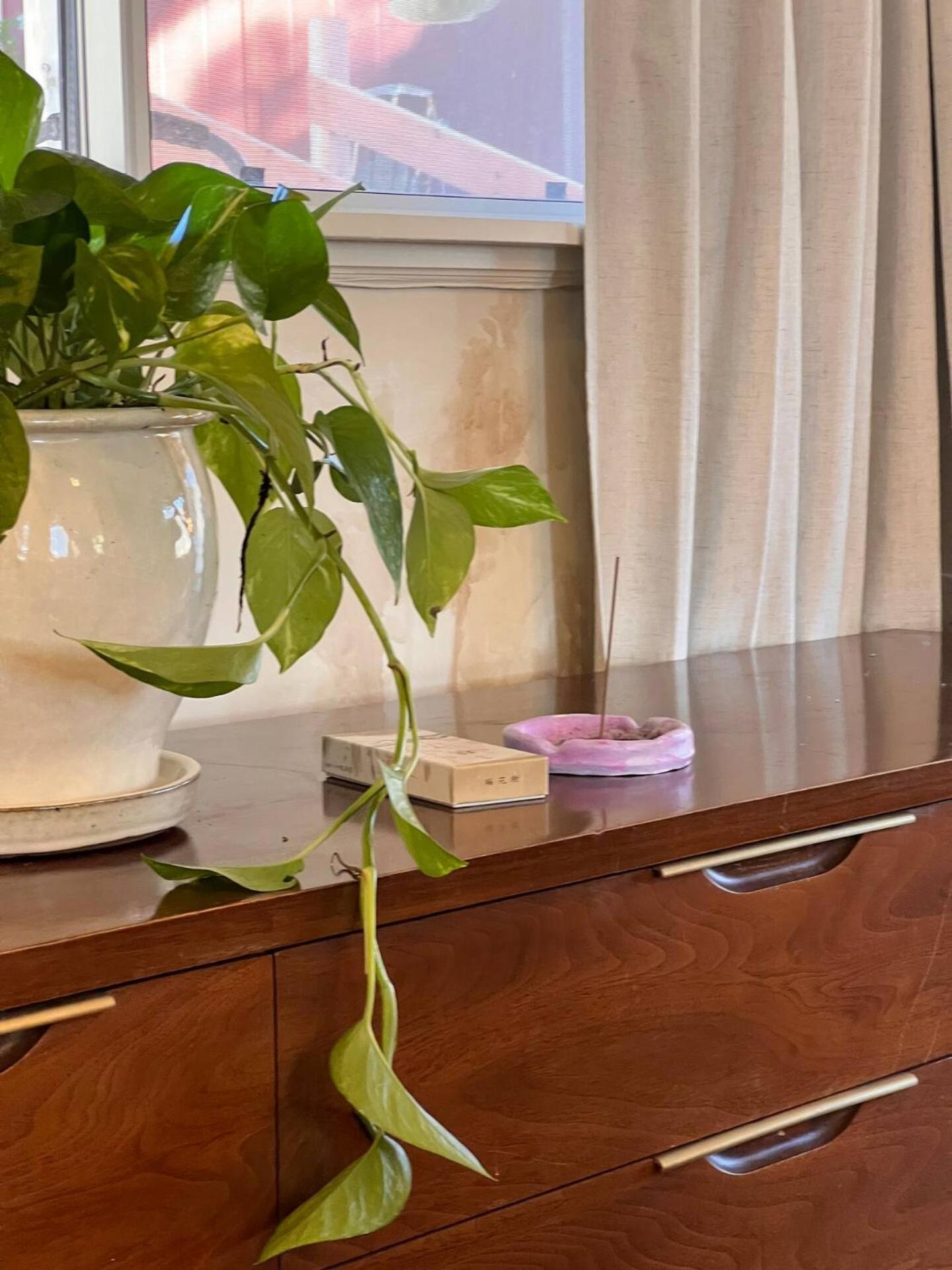 קוטונווד Dragonfly Cottage - Wend'Y Place Off Page Spring מראה חיצוני תמונה